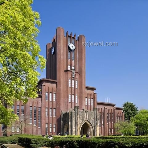 京都大学&东京大学数据科学CS合格经验分享