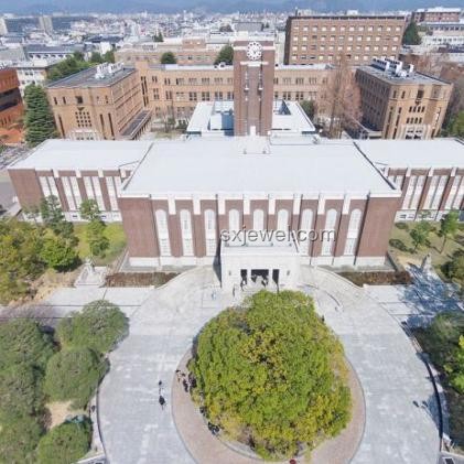 京都大学&东京大学数据科学CS合格经验分享